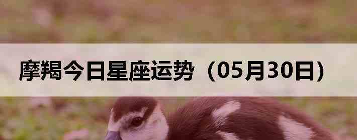 Ħ�ɽ����������ƣ�05��30�գ�