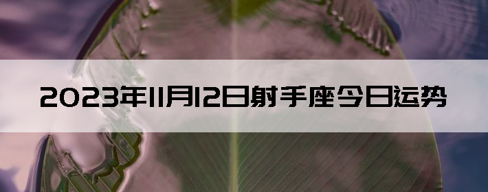20231112