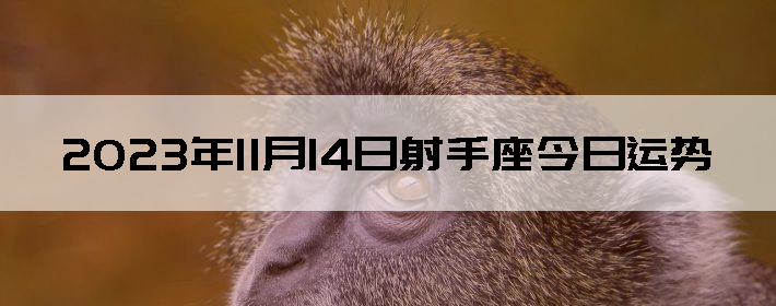 20231114