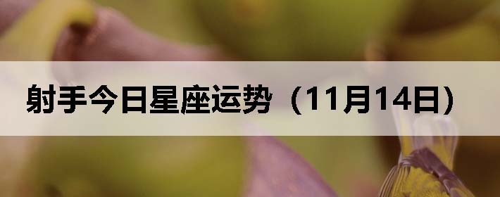 ֽƣ1114գ