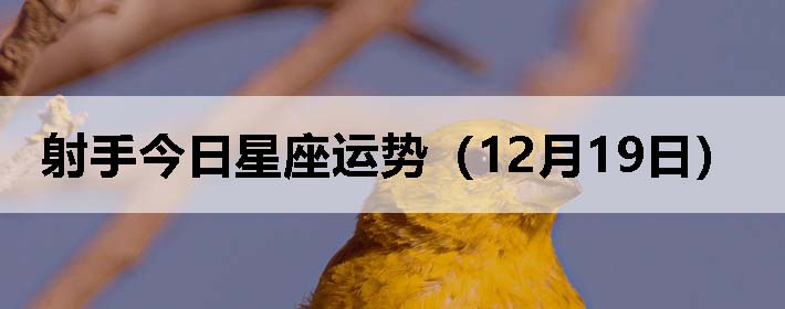 ֽƣ1219գ