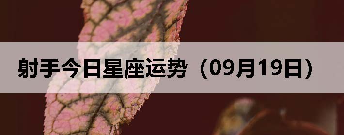 ֽƣ0919գ