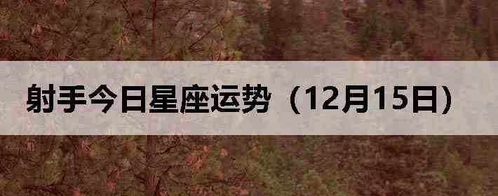 ���ֽ����������ƣ�12��15�գ�