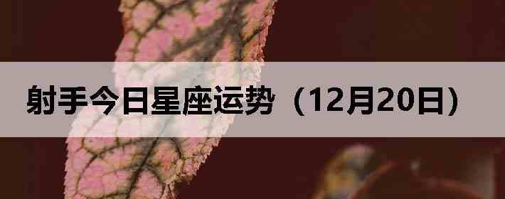 ���ֽ����������ƣ�12��20�գ�