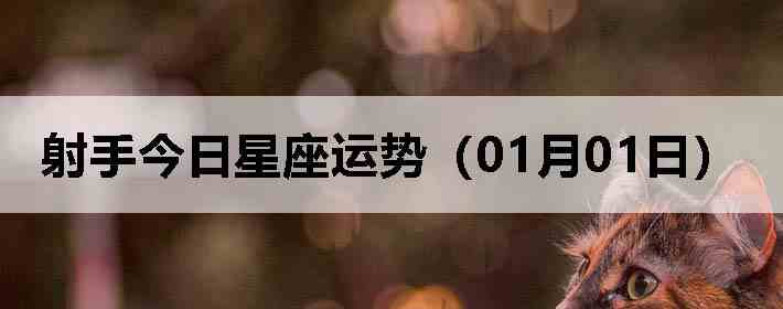 ���ֽ����������ƣ�01��01�գ�