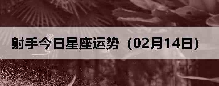 ���ֽ����������ƣ�02��14�գ�