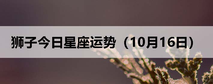 ʨӽƣ1016գ
