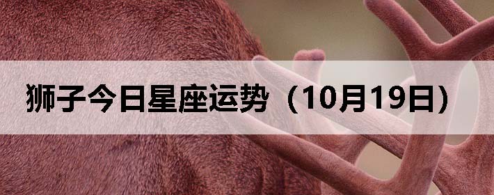 ʨӽƣ1019գ