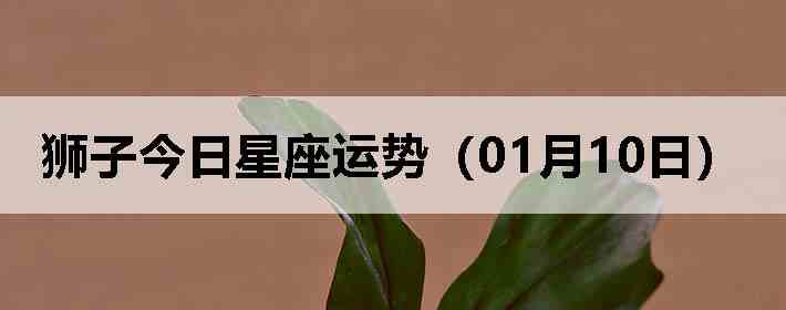 ʨ�ӽ����������ƣ�01��10�գ�