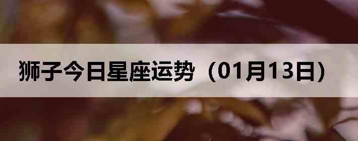 ʨ�ӽ����������ƣ�01��13�գ�