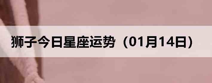 ʨ�ӽ����������ƣ�01��14�գ�