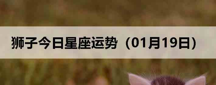 ʨ�ӽ����������ƣ�01��19�գ�