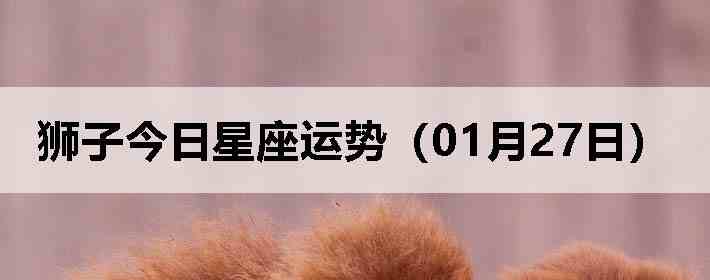 ʨ�ӽ����������ƣ�01��27�գ�