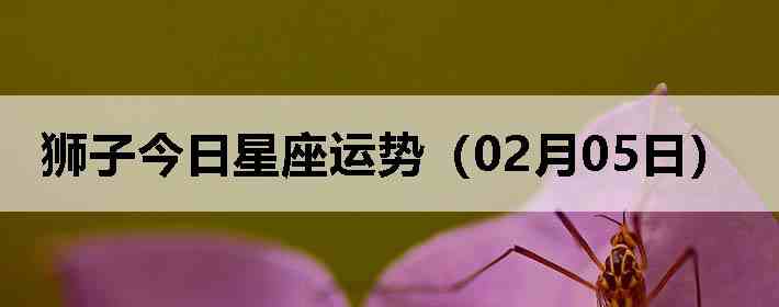 ʨ�ӽ����������ƣ�02��05�գ�