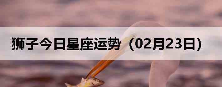 ʨ�ӽ����������ƣ�02��23�գ�