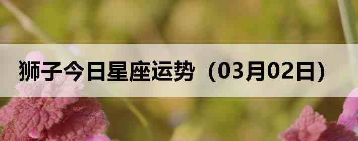 ʨ�ӽ����������ƣ�03��02�գ�