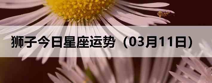 ʨ�ӽ����������ƣ�03��11�գ�