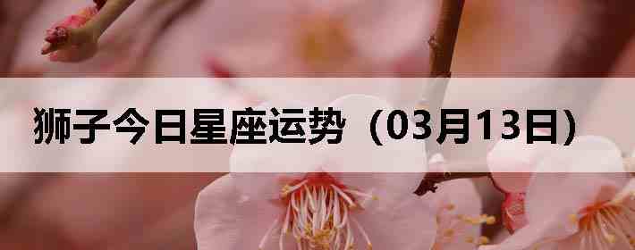 ʨ�ӽ����������ƣ�03��13�գ�