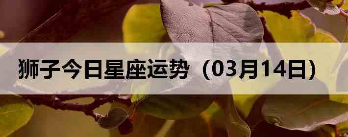 ʨ�ӽ����������ƣ�03��14�գ�