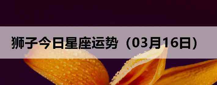 ʨ�ӽ����������ƣ�03��16�գ�