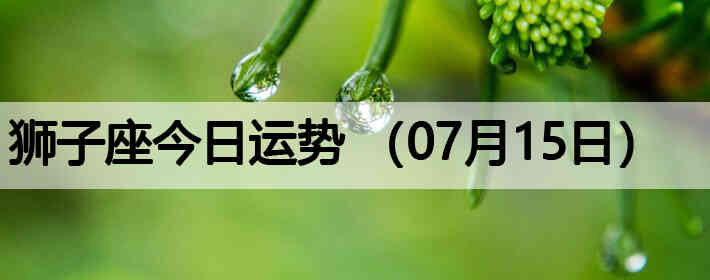 ʨ�ӽ����������ƣ�07��15�գ�