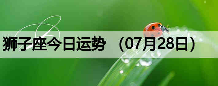 ʨ�ӽ����������ƣ�07��28�գ�