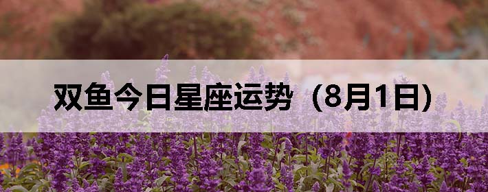 ˫ƣ0801գ