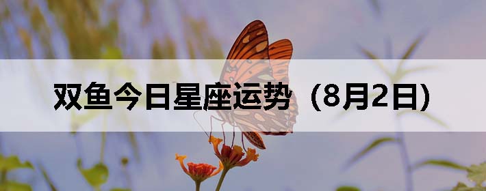 ˫ƣ0802գ