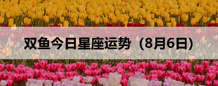 ˫ƣ0806գ