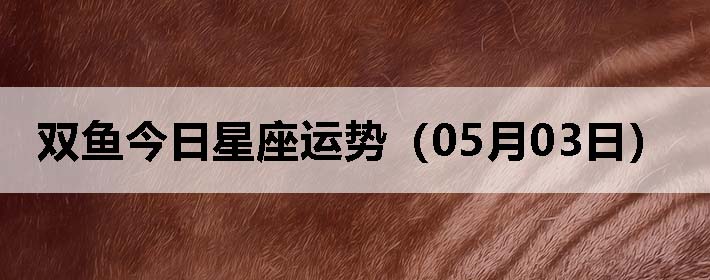 ˫ƣ0503գ