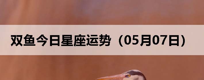 ˫ƣ0507գ