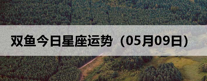 ˫ƣ0509գ