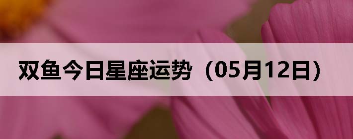 ˫ƣ0512գ