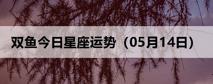 ˫ƣ0514գ