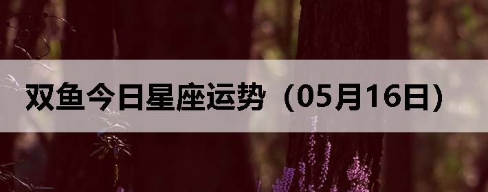 ˫ƣ0516գ
