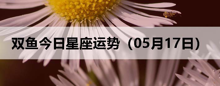 ˫ƣ0517գ