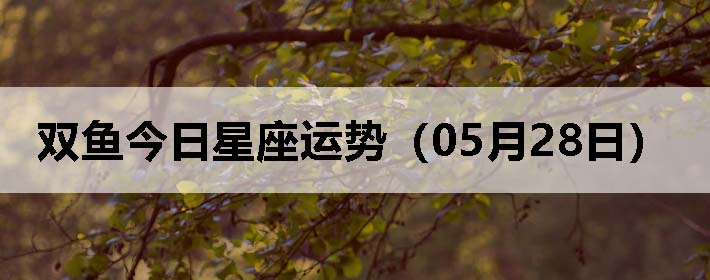˫ƣ0528գ