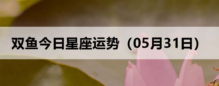 ˫ƣ0531գ