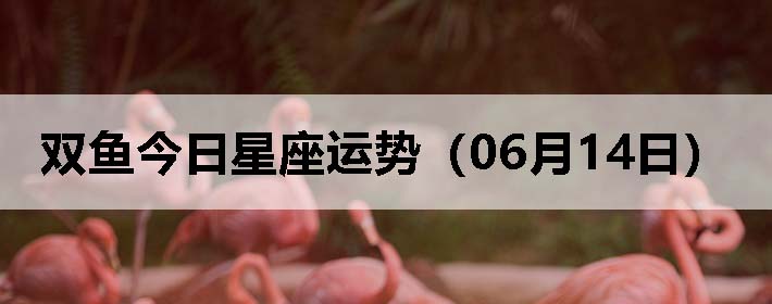 ˫ƣ0614գ