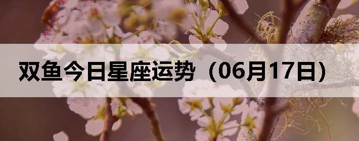 ˫ƣ0617գ