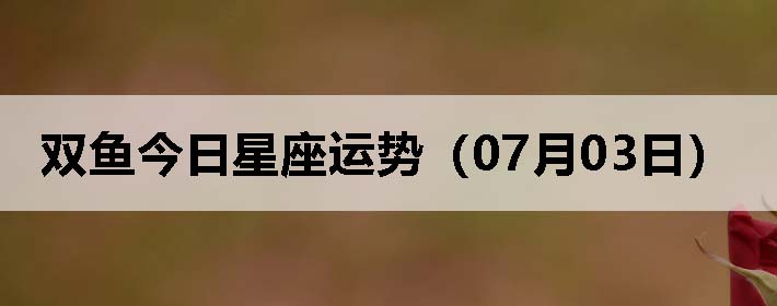 ˫ƣ0703գ