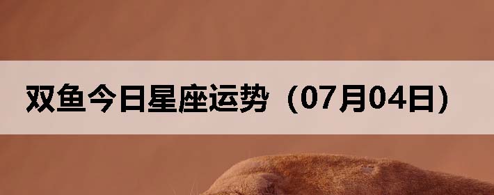 ˫ƣ0704գ