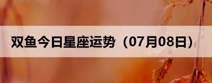 ˫ƣ0708գ