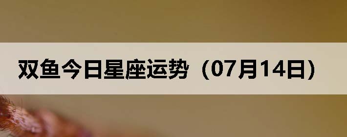 ˫ƣ0714գ