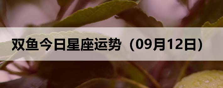 ˫ƣ0912գ