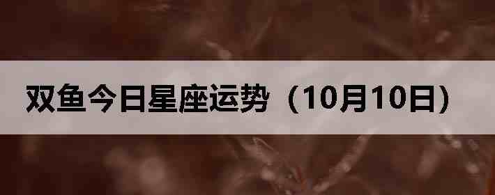 ˫������������ƣ�10��10�գ�