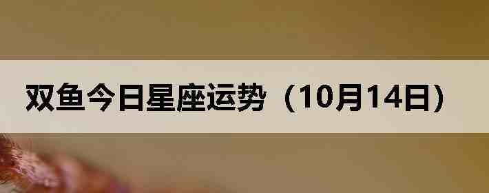 ˫������������ƣ�10��14�գ�