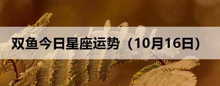 ˫������������ƣ�10��16�գ�