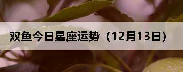 ˫������������ƣ�12��13�գ�