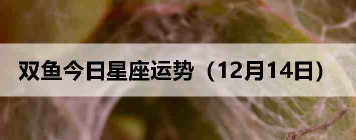 ˫������������ƣ�12��14�գ�